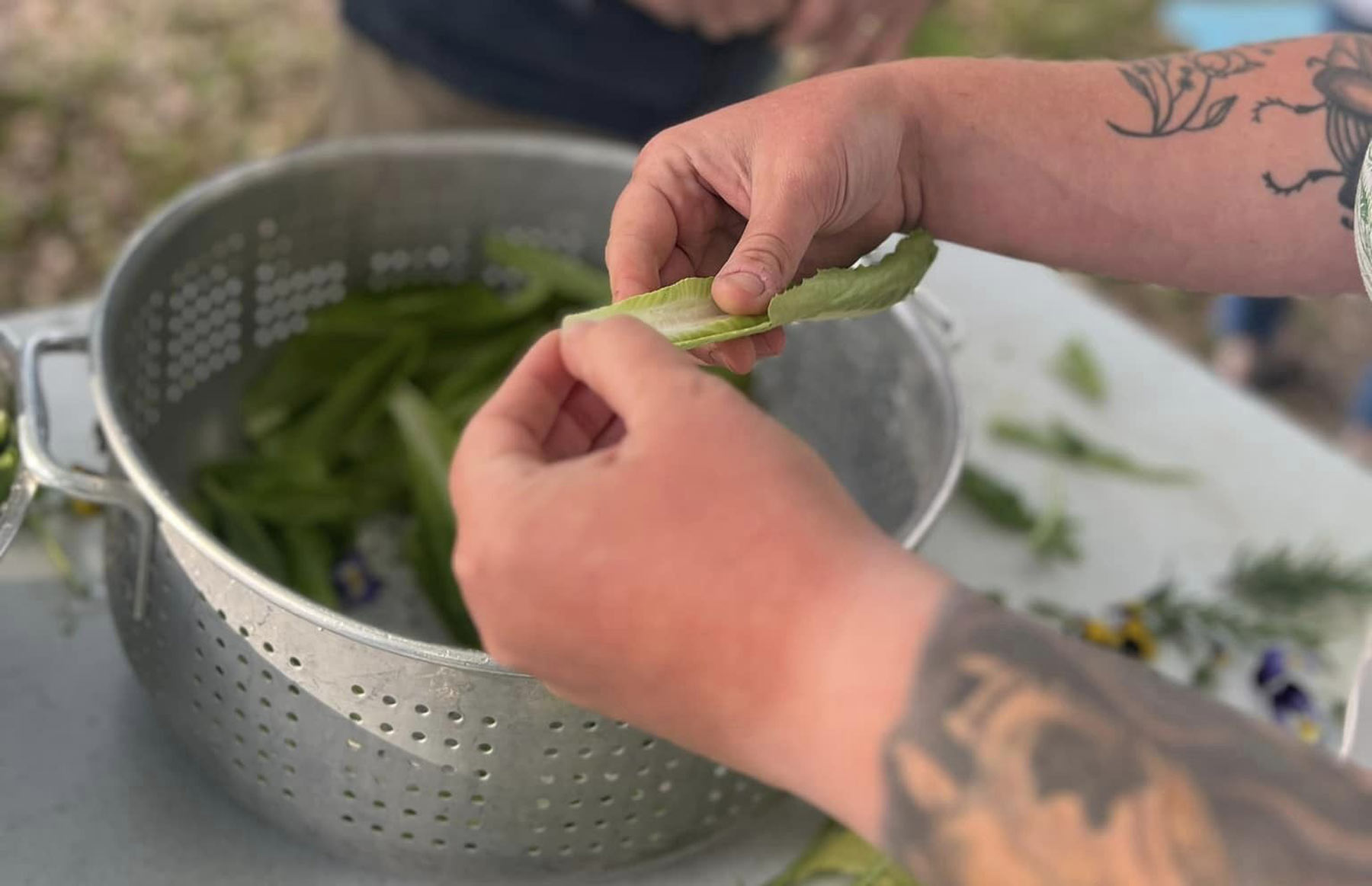 Our First Harvest Potluck