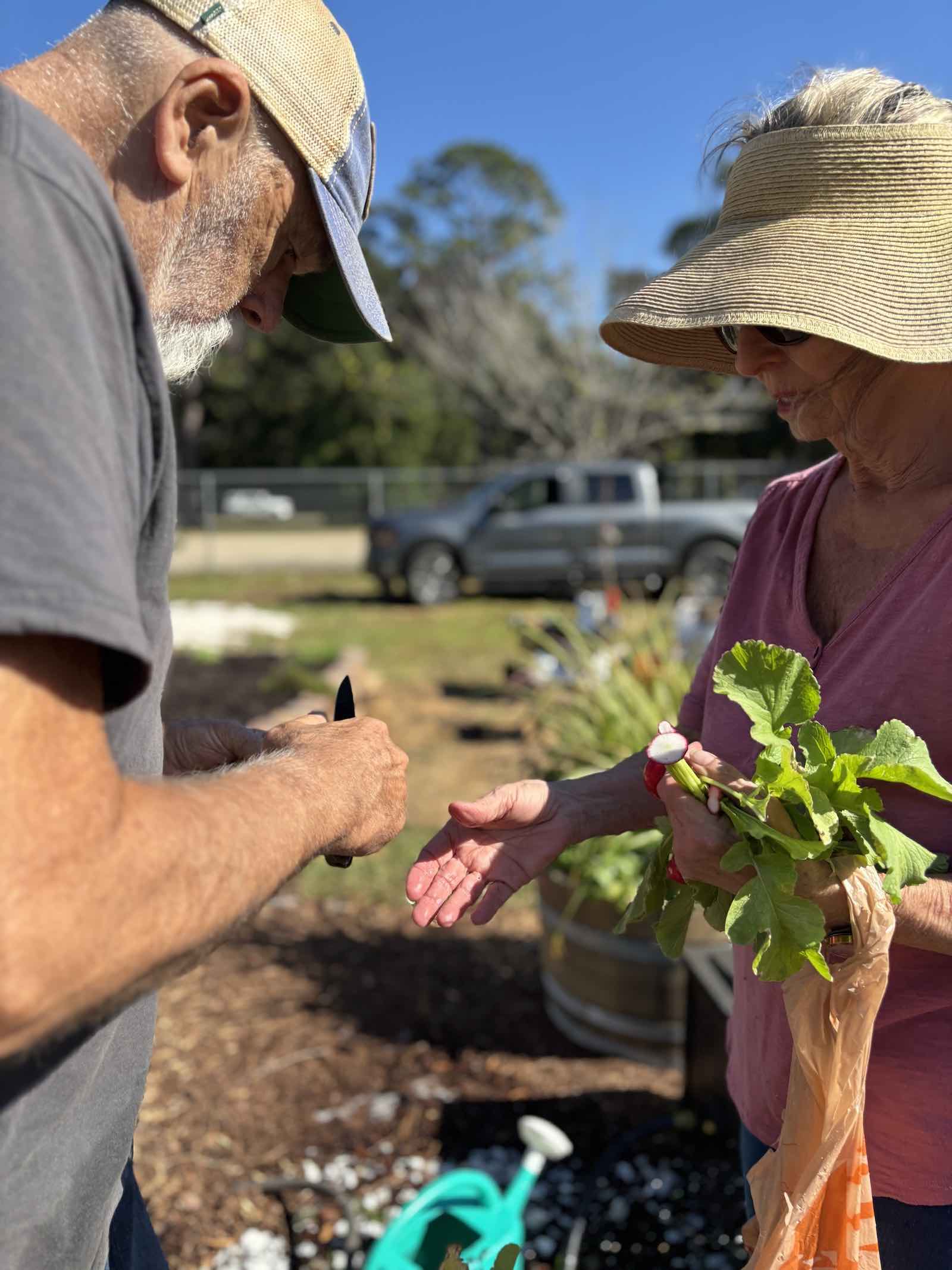 garden volunteer